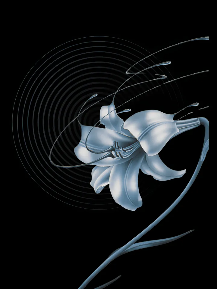 Cover image for the what is a pitch deck guide: a silver lily on a curling stem before faint concentric rings
